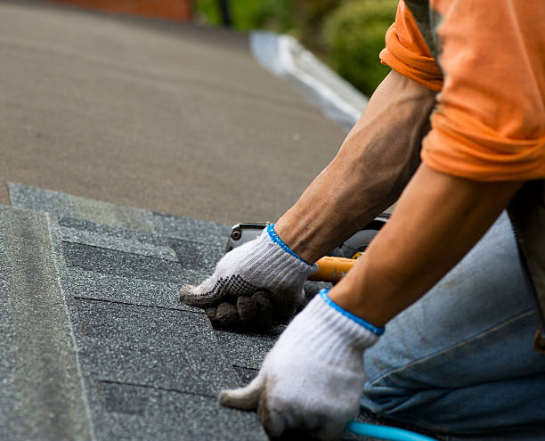 Best Storm Damage Roof Repair  in Lake Hamilton, AR
